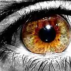 Picture for song 'Eres Parte De Mi (letra/voz Rodrigo Ruiz)' by artist 'axbohm'