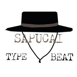 Picture for song 'SAPUCAI TYPE BEAT' by artist 'BNZH'