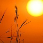 Picture for song 'Wishes' by artist 'Bill LeCato'