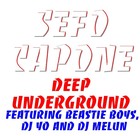 Picture for song 'DEEP UNDERGROUND (VERSES THE MIX UP)' by artist 'BLOWUP SCHOOL'