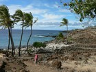 Picture for song 'Tropical Island Chill' by artist 'Carlo D'Anna'