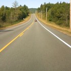Picture for song 'Long Road Home' by artist 'Cellar Dwellers (US)'