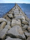 Picture for song 'Walk Away' by artist 'Cellar Dwellers (US)'
