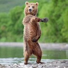 Picture for song 'Macarena.mp3' by artist 'Dj Bayzyboy'