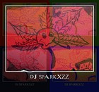 Picture for song 'DJ Sparkxzz - So What pt.2 (Instrumental)' by artist 'DJ Sparkxzz'