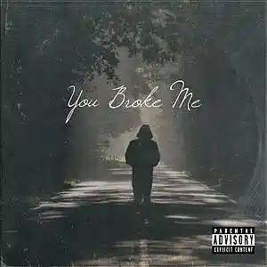 Picture for song 'You Broke Me' by artist 'DJ Young Kid'