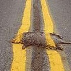 Picture for song 'Wrong Place' by artist 'Don Sechelski'