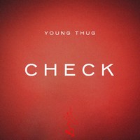 Picture for song 'Check' by artist 'Downtown Music'