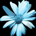 Picture for song 'ENTANGLEMENT - mixtest (11/10)' by artist 'Entanglement (AUS)'