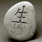 Picture for song 'Life (J Santana Collab) (www.errolbeats.com)' by artist 'Errol Beats'