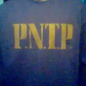 Picture for song 'ewzspntpafg-wspu_n' by artist 'EWZS'