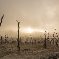 Picture for song 'Shadows Of Light' by artist 'Golden Day'