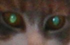 Picture for song '2Eyez' by artist 'Gr8fulbluz'