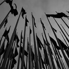 Picture for song 'Black Flags.mp3' by artist 'Kangaroo Pimp'