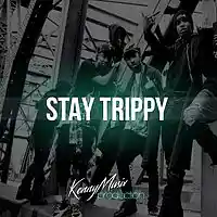 Picture for song 'Stay Trippy' by artist 'KenNYMusix'