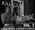 Picture for song 'Kalico - Elevator Man' by artist 'leeknoyz'