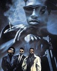 Picture for song 'New Trap City' by artist 'LTBE'