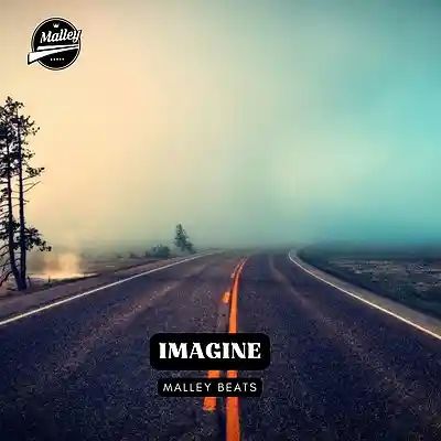 Picture for song 'IMAGINE [MELODIC GUITAR RAP TYPE BEAT]' by artist 'Malley Beats'