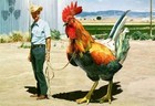 Picture for song 'Happened like that' by artist 'Mark Clarke'