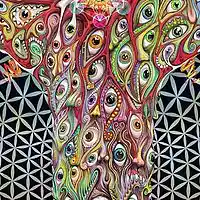 Picture for song 'Confidence In Your Ignorance' by artist 'Mummified Monk'