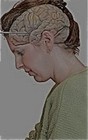 Picture for song 'Hemisphere' by artist 'Nicks Tune Factory'