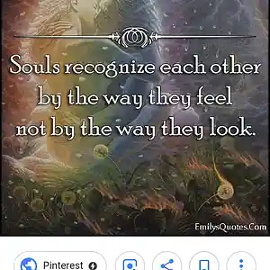 Picture for song 'soul feel' by artist 'Oson'