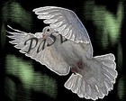 Picture for song 'Somehow' by artist 'PaSv (Swe)'