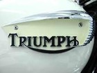 Picture for song 'Triumph' by artist 'PhaceValue Productions'