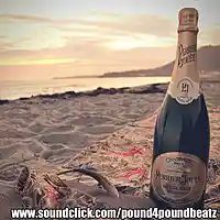 Picture for song 'Summer Sex SOLD ' by artist 'WESOUAFOOL'