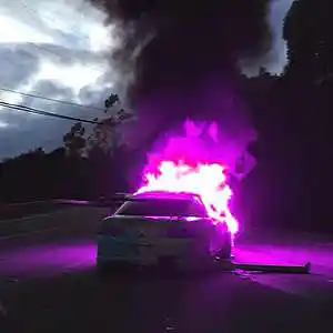 Picture for song 'Shush - playboi carti type beat' by artist 'prod.allyd'