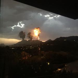 Picture for song 'Lion's Den' by artist 'prod. enzo'