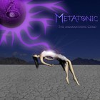 Picture for song '03 Metatonic - "Montezuma"' by artist 'Richard Carr'