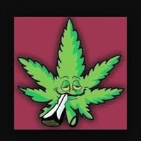 Picture for song 'PLAY THAT SEAN CHRIST MUSIC WEED MAN' by artist 'SEAN CHRIST'