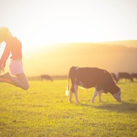 Picture for song 'country jump' by artist 'SMYJNTT'