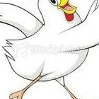 Picture for song 'Yard Bird' by artist 'StandsFree'