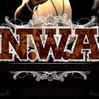 Picture for song 'NWA' by artist 'Stunna2Fly'