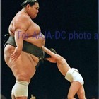 Picture for song 'Sumo ***NEW*** T-34 Productions' by artist 'T-34 Productions'