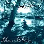 Picture for song 'Frozen in Time' by artist 'Tangled Wires'