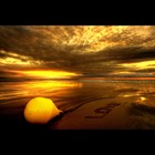 Picture for song 'Sea Of Love (Ambient Mix)' by artist 'TEN SUNS'
