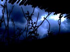 Picture for song 'Let me to dream' by artist 'The Flanger Sound'