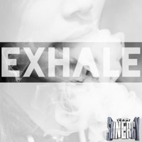 Picture for song 'Exhale *Smooth* FREE DL' by artist 'The Siinergy'