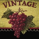 Picture for song 'Brotherhood of the Grape' by artist 'Tim Green'