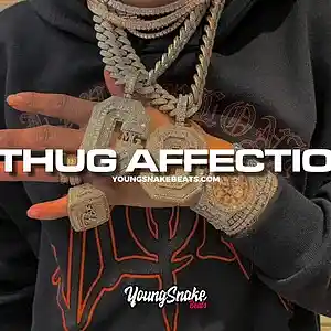 Picture for song '"THUG AFFECTION" - Big 30 x Memphis Type Beat' by artist 'Young Snake Beats'