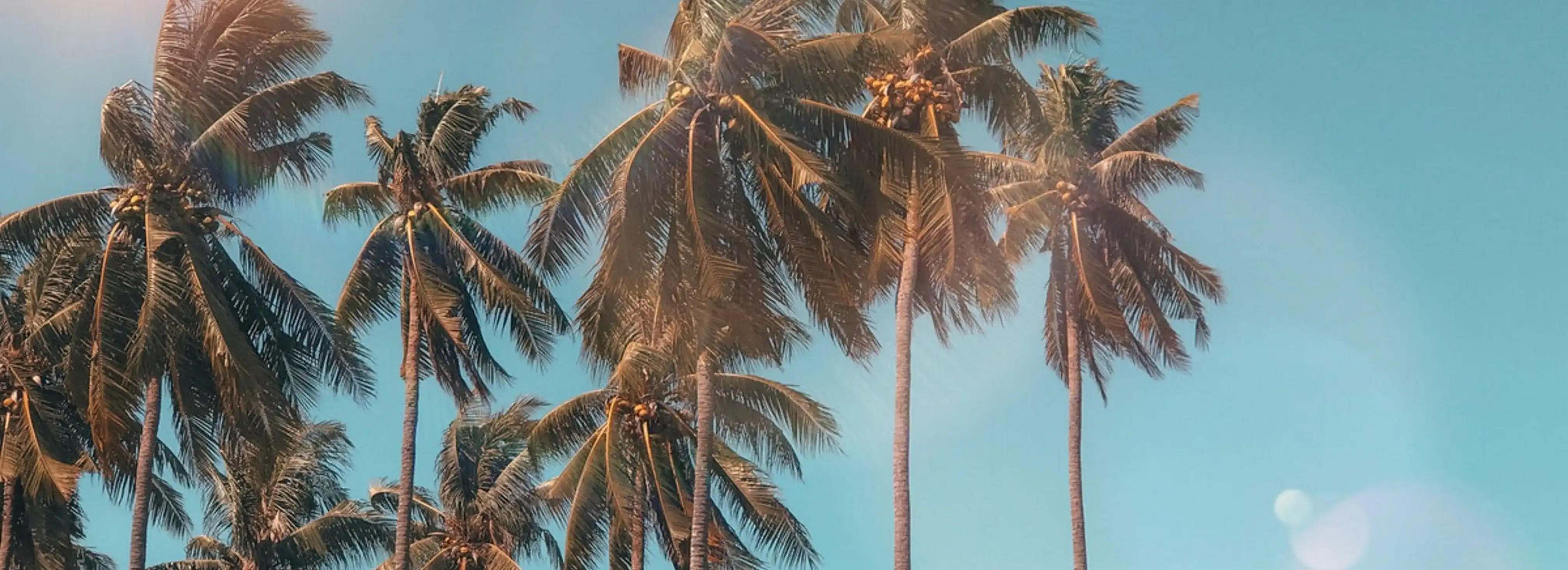 cover pic
