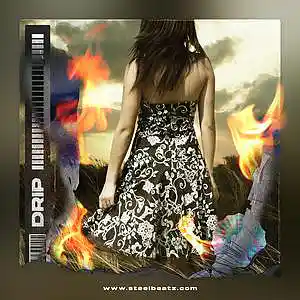 Picture for song 'WITHOUT YOU' by artist 'Beats on SteelBeatz.com'