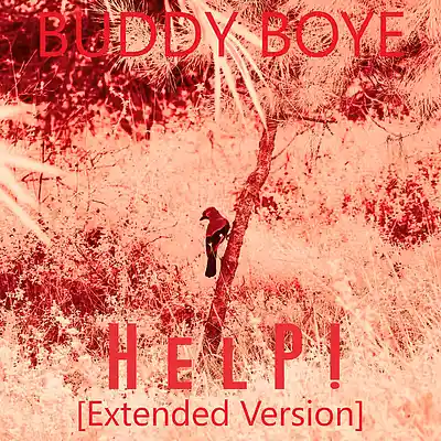 Song picture