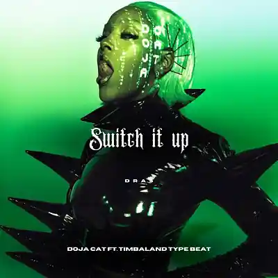 Picture for song '"Switch it up" Doja Cat ft. Timbaland Type Beat' by artist 'Dras On The Beat'