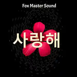 Picture for song 'Saranghae' by artist 'Ilya Wandf'