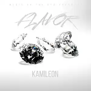 Picture for song 'Flavor' by artist 'Kamileon'