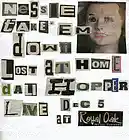 Picture for song 'Shock and Awe I' by artist 'Nessie James'